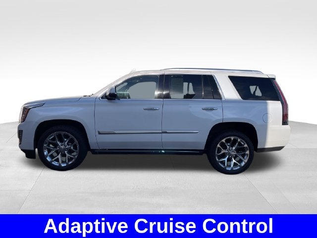 2019 Cadillac Escalade Platinum Edition